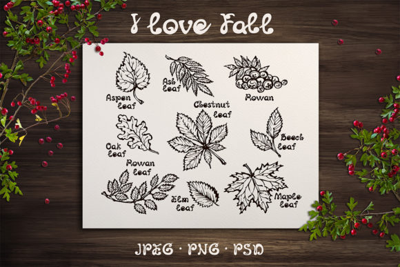 Download 9 Hand-sketched Fall Leaves - Sketched Collection